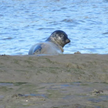 Semesterbostad Am Kutterhafen 3 - Pier 3 *