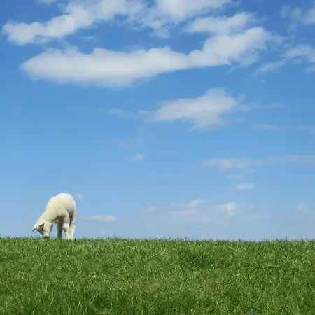 Am Kutterhafen 3 - Pier 3 Fedderwardersiel