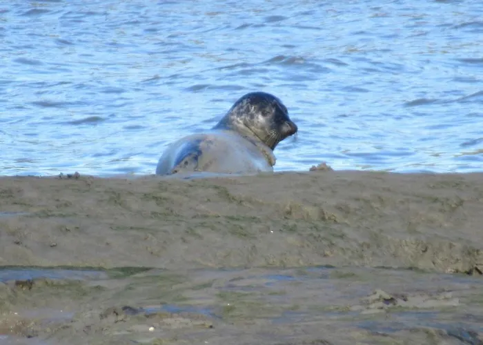 Σπίτι διακοπών Am Kutterhafen 3 - Pier 3 *