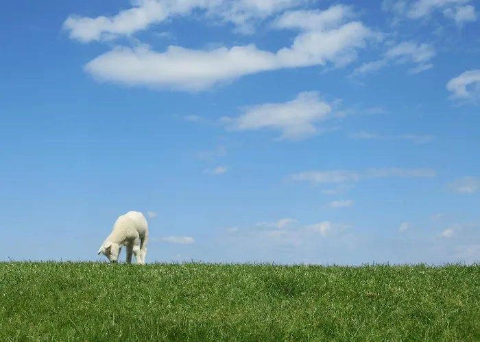 Am Kutterhafen 3 - Pier 3 Fedderwardersiel
